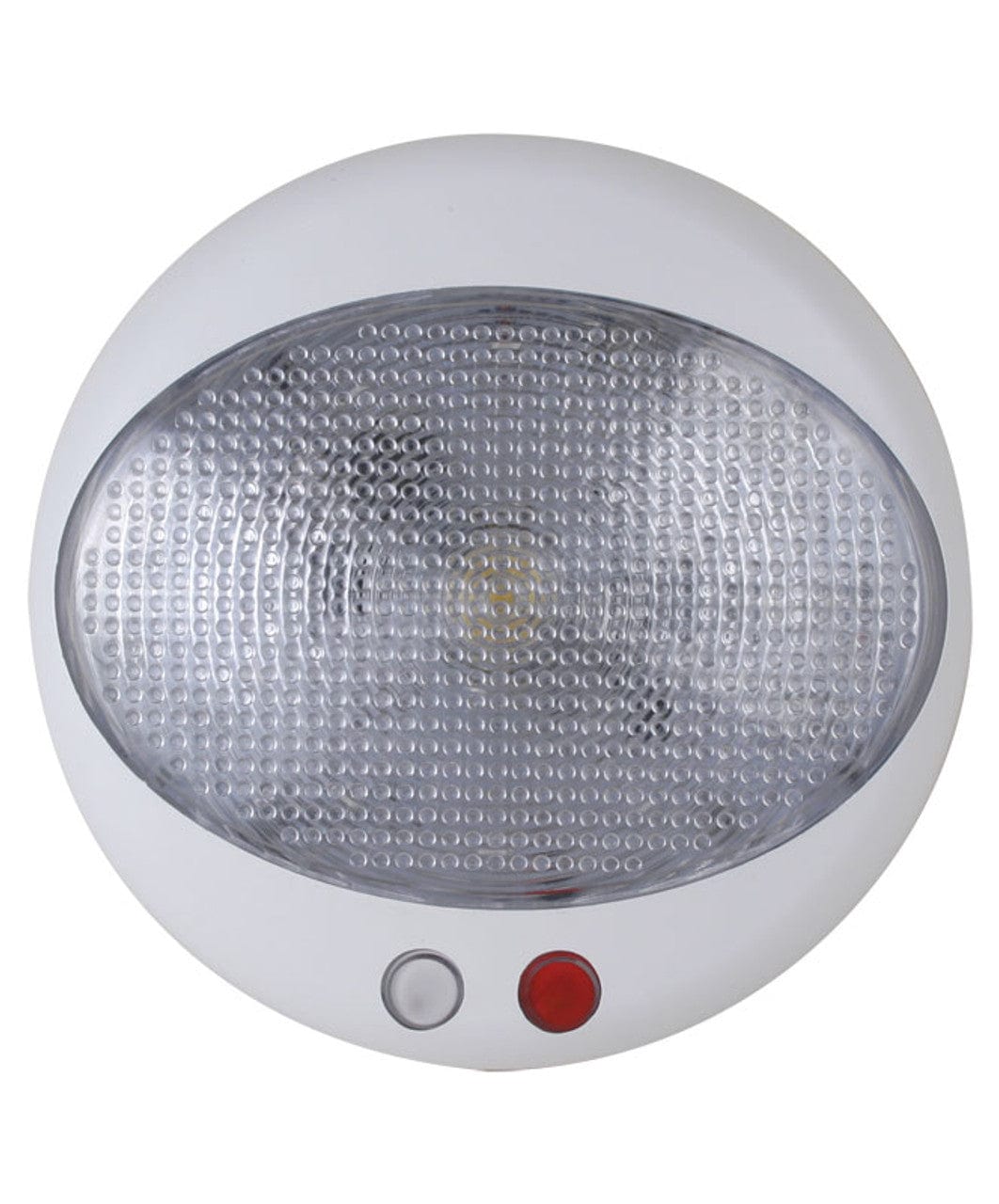 LED Dome Light w/ Blue Night Light 41344P Scandvik