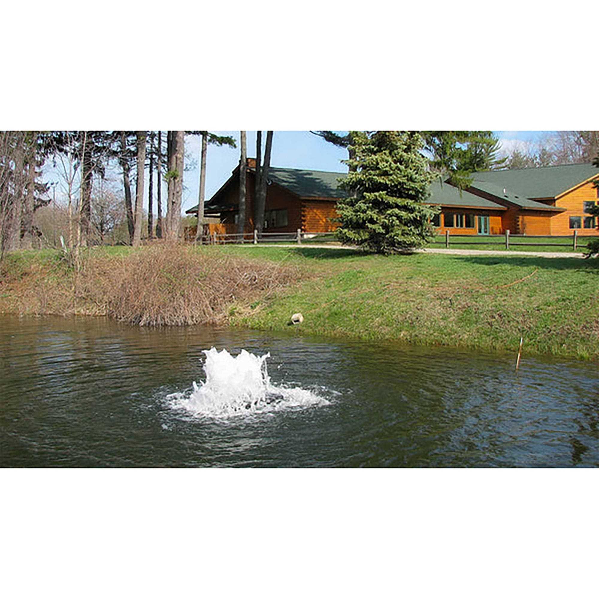 Boilermaker Aerator, 3/4 Hp, 230 V Scott Aerator 14034