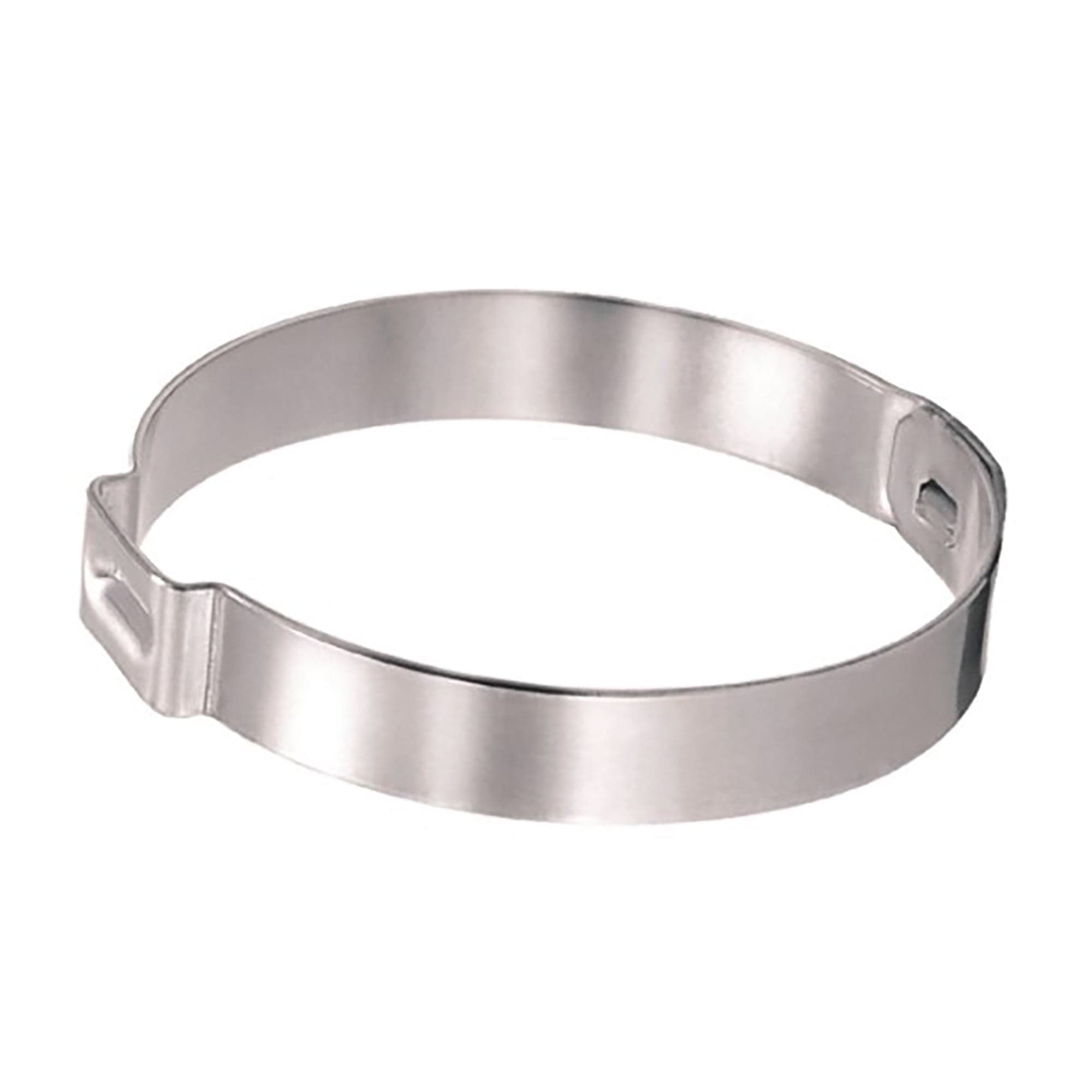 170R 1 Ear Hose Clamp - 11/16" - 100 Pack 15500009 TH Marine