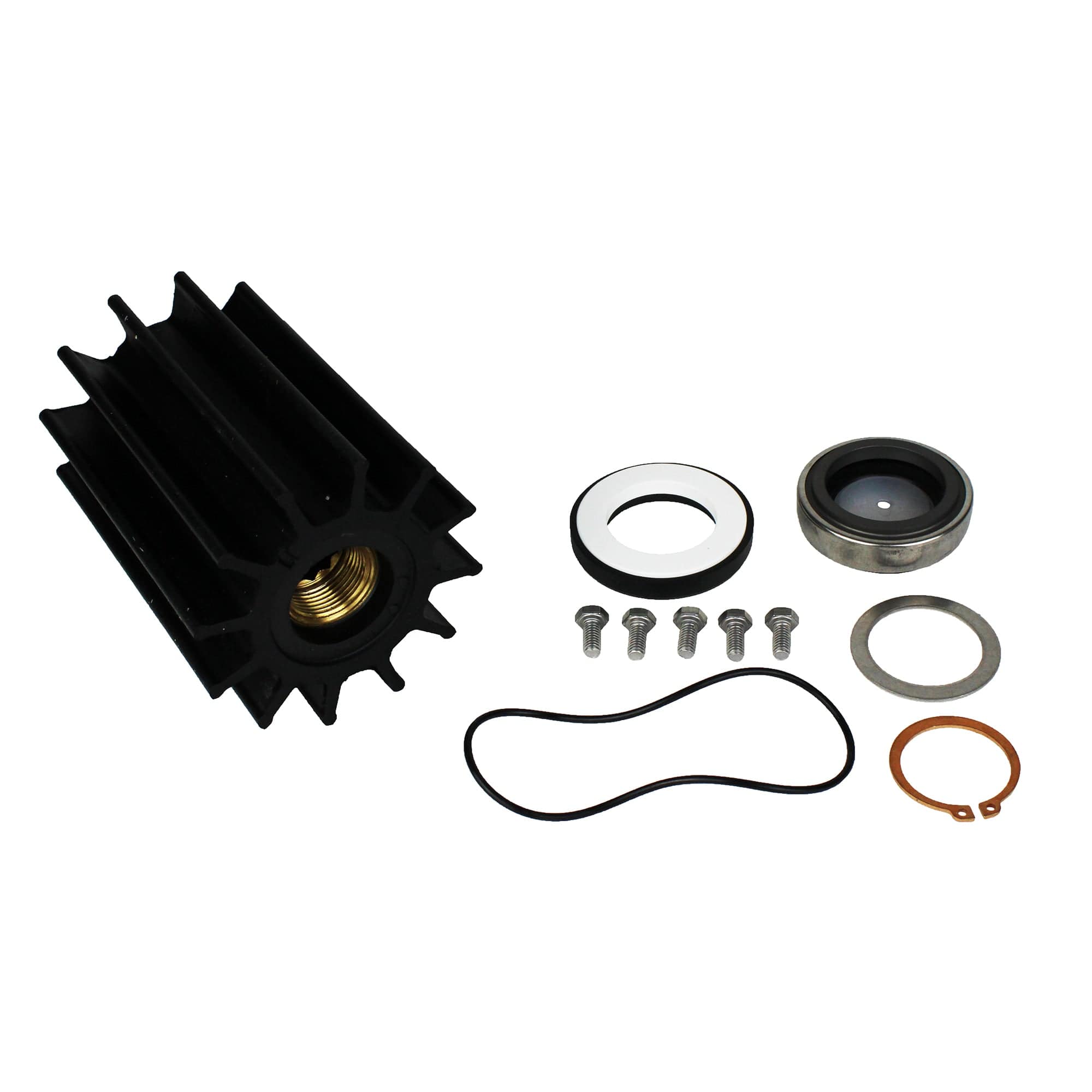 Johnson Pump 09-46599-1 F95B Pump Service Kit