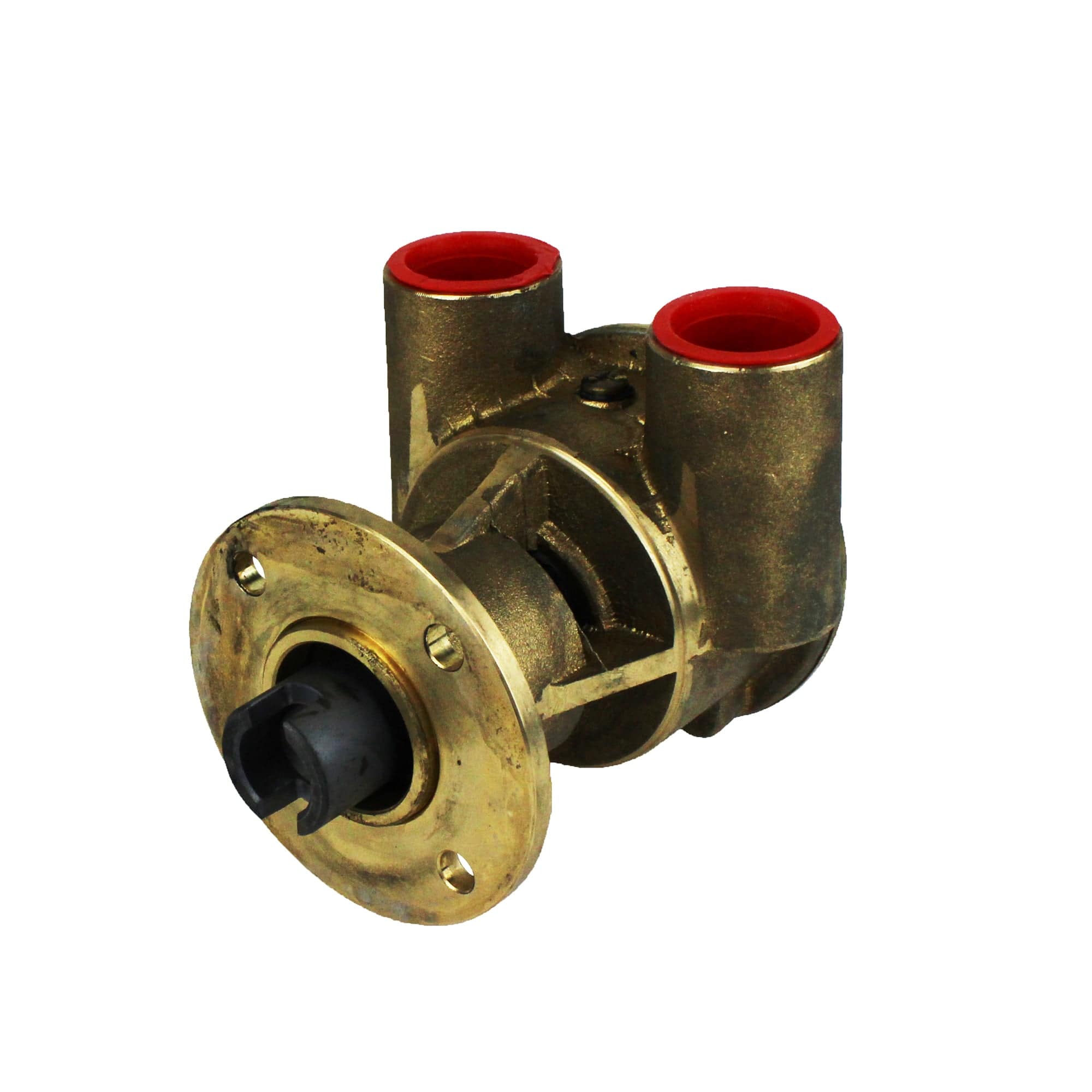 Johnson Pump 10-24119-2 Impeller Pump F5B-9002