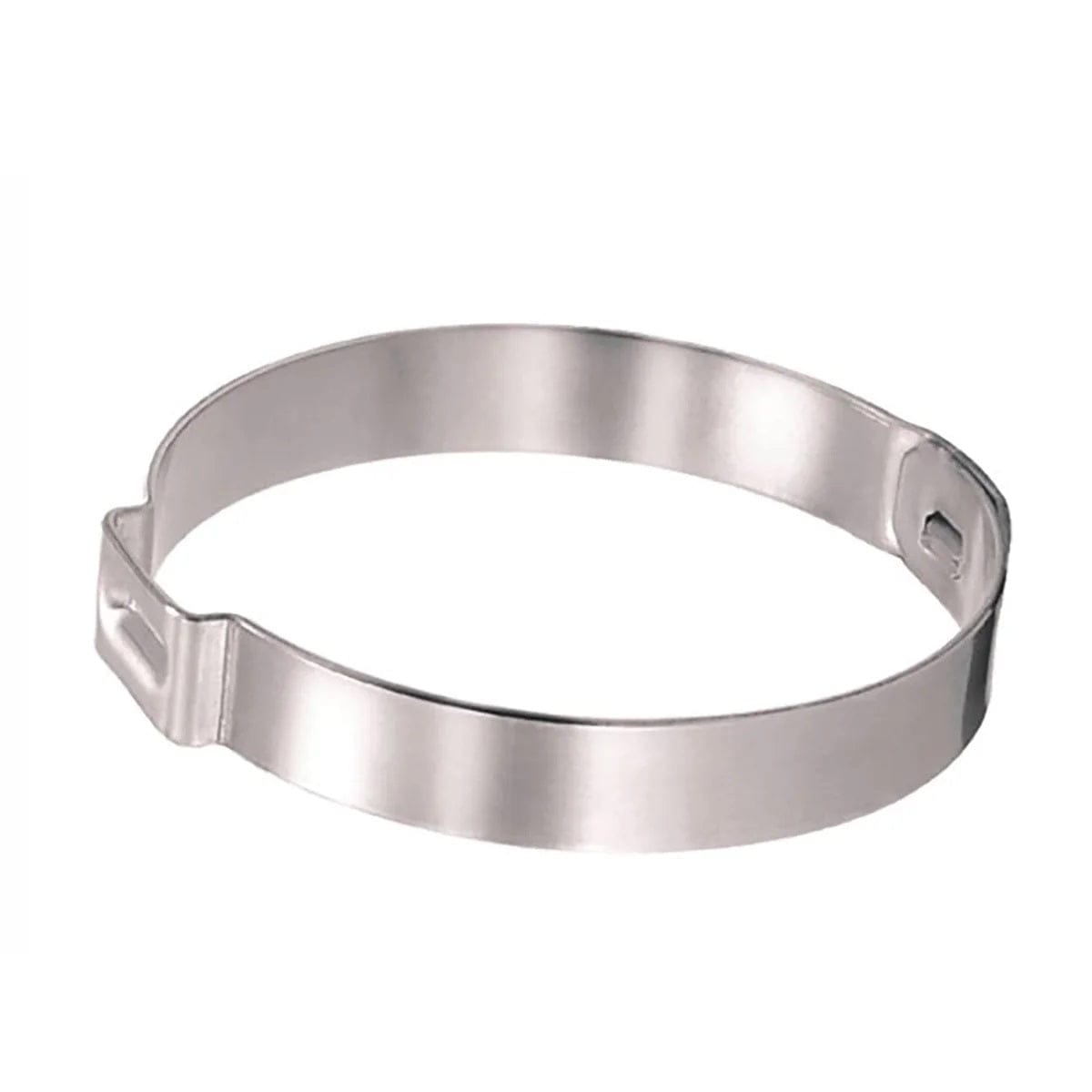 9.5mm Stepless Ear Hose Clamp - 10 Pack - Th Marine 16700004X-DP