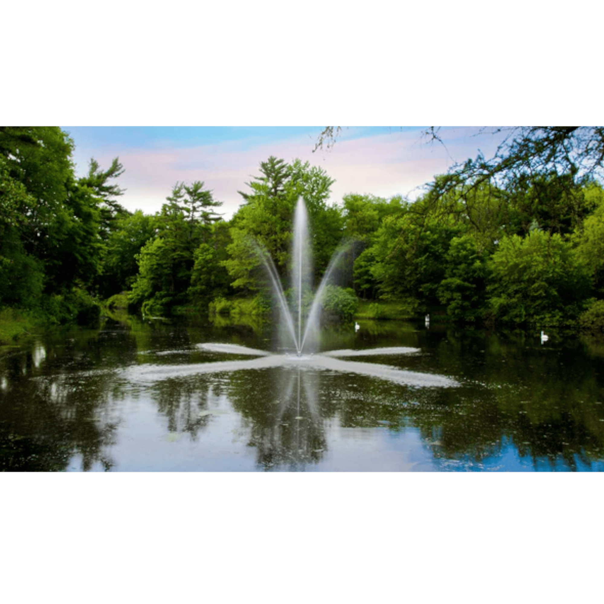 Clover Fountain, 3 Hp 230 V, 200 Ft 10-3 Scott Aerator 12999.2