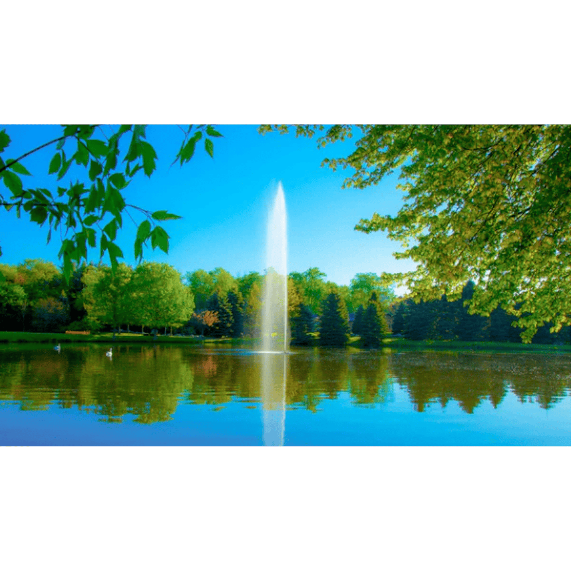 Gusher Fountain, 1 Hp 115 V, 100 Ft 10-2 Scott Aerator 13514.115