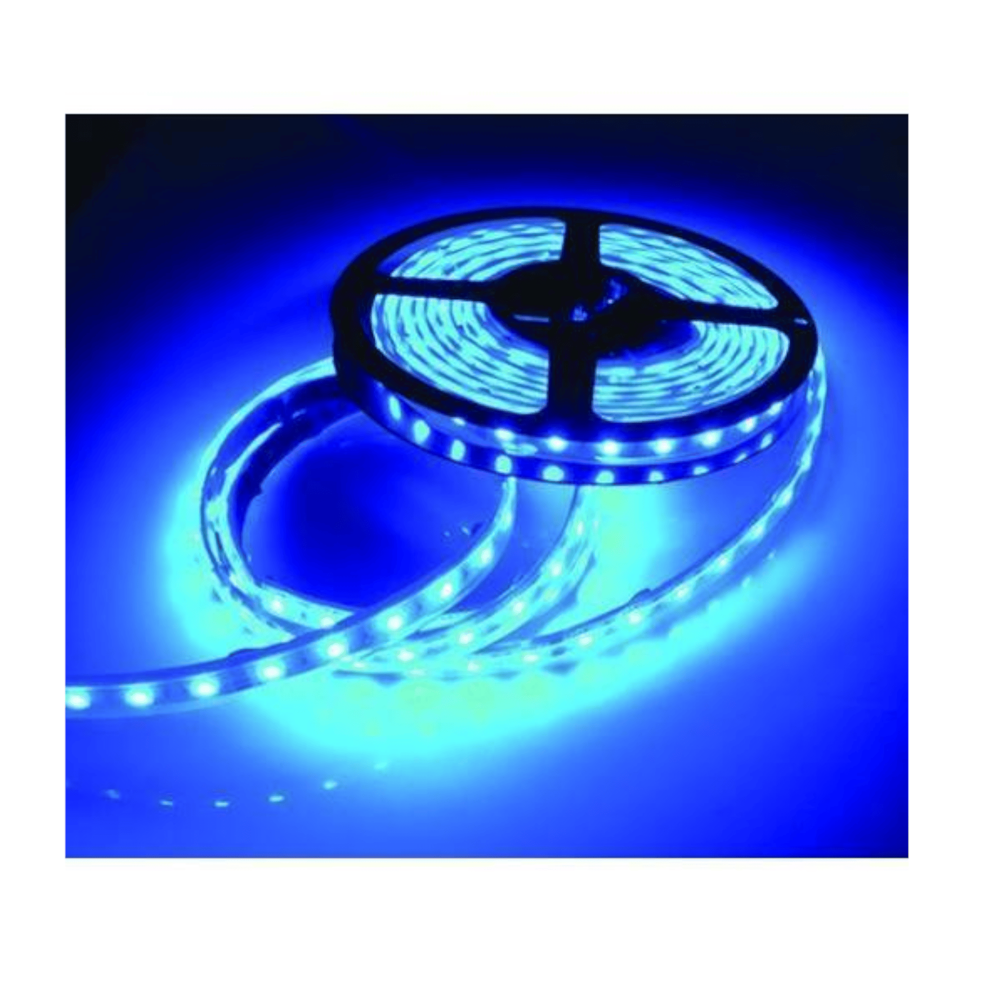 24' LED Rope Light - Blue - Packaged - IP68 TH Marine LED-SM24-B-DP