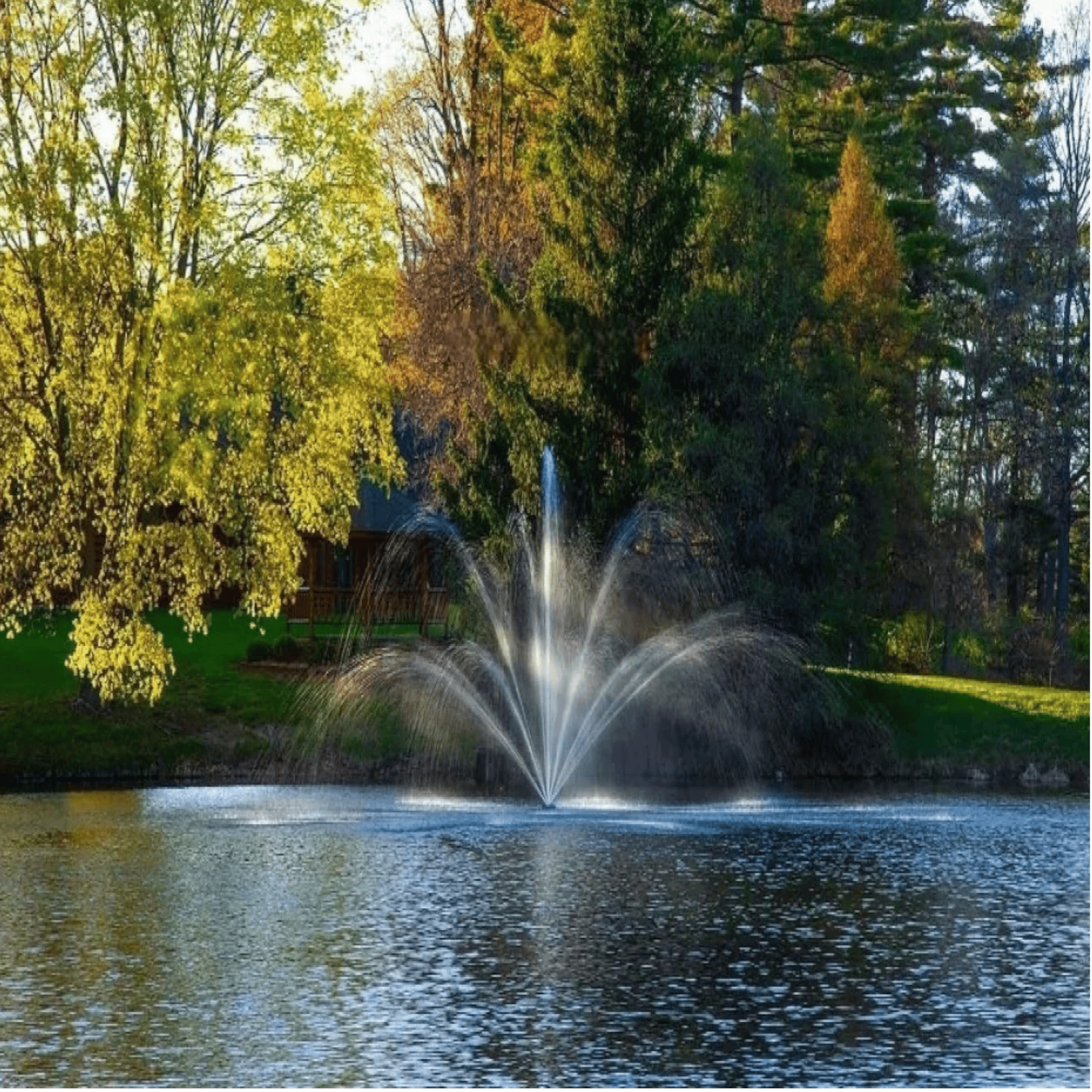 Rosewood Fountain, 2 Hp 230 V, 250 Ft 10-3 Scott Aerator 13020.25